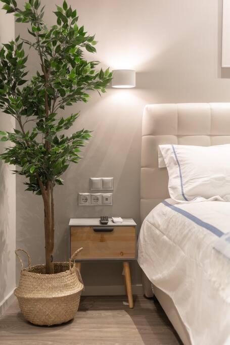 A11 Pristine & Comfy Studio Near Plaka & Parthenon Aten Exteriör bild