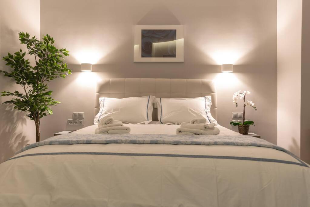 A11 Pristine & Comfy Studio Near Plaka & Parthenon Aten Exteriör bild